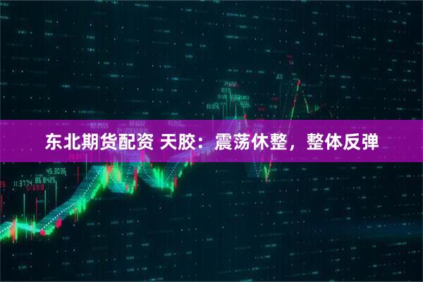 东北期货配资 天胶：震荡休整，整体反弹