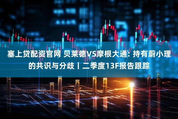 塞上贷配资官网 贝莱德VS摩根大通: 持有蔚小理的共识与分歧丨二季度13F报告跟踪