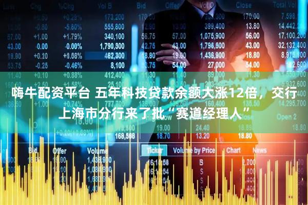 嗨牛配资平台 五年科技贷款余额大涨12倍，交行上海市分行来了批“赛道经理人”